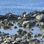 Photo Gallery: Lokrum, the Last Oasis of Summer 34 Lokrum 23