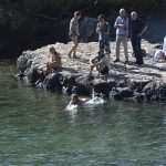 Photo Gallery: Lokrum, the Last Oasis of Summer 26 Lokrum 31