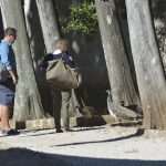 Photo Gallery: Lokrum, the Last Oasis of Summer 20 Lokrum 37