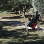 Photo Gallery: Lokrum, the Last Oasis of Summer 18 Lokrum 39