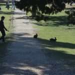 Photo Gallery: Lokrum, the Last Oasis of Summer 52 Lokrum 4