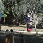 Photo Gallery: Lokrum, the Last Oasis of Summer 17 Lokrum 40