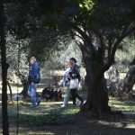 Photo Gallery: Lokrum, the Last Oasis of Summer 13 Lokrum 44