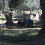 Photo Gallery: Lokrum, the Last Oasis of Summer 12 Lokrum 45