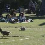 Photo Gallery: Lokrum, the Last Oasis of Summer 50 Lokrum 6