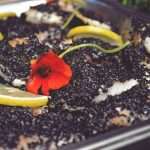 Photo Gallery: Takenoko, a Dash of Japanese Culinary Magic 21 TakenokoParty 4