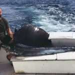 Croatia Wins Big on Big Game Trolling in Acapulco 9 Big Game Acapulco 5