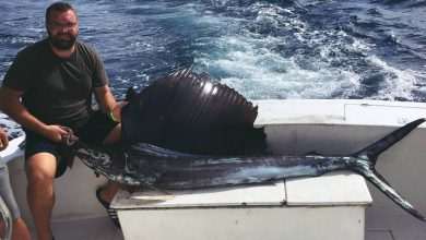 Croatia Wins Big on Big Game Trolling in Acapulco 13 Big Game Acapulco 5