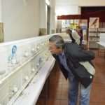 Photo Gallery: Colorful Exhibition of Birds! 20 Bird Exhibition 1