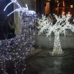 Photo Gallery: Dubrovnik Winter Festival is Opened! 8 Dubrovnik Winter Festival 8