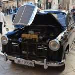 Old timers Stradun 37