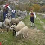 Photo Gallery: Beautiful Folklore Stories From Osojnik 12 Osojnik 12