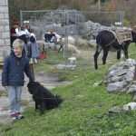 Photo Gallery: Beautiful Folklore Stories From Osojnik 21 Osojnik 21