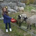 Photo Gallery: Beautiful Folklore Stories From Osojnik 23 Osojnik 23