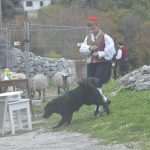 Photo Gallery: Beautiful Folklore Stories From Osojnik 54 Osojnik 54