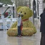 A Perfect Time to Enjoy Winter, Traditional Music and Colorful Stradun 11 Sunday Advent 11