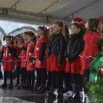 Photo Gallery: Just Dubrovnik & DuList Cakes are the Sweetest Photo Models on Stradun! 58 Cake Party Z 32