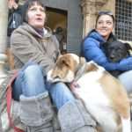 Photo Gallery: Just Dubrovnik & DuList Cakes are the Sweetest Photo Models on Stradun! 75 Cake Party Z 49