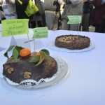 Photo Gallery: Just Dubrovnik & DuList Cakes are the Sweetest Photo Models on Stradun! 91 Cake Party Z 65