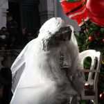 Photo Gallery: Big Christmas Party on Stradun! 70 Christmas Tale on Stradun 24