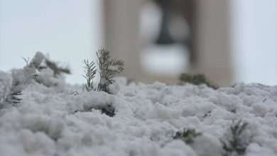 Weather Report for 2017: Colder Days Ahead 3 Cold Snow