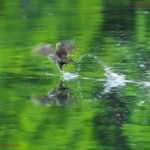 Meet Craig Derrick, Photographer Who Fell In Love With Dubrovnik 3 Craig Derrick 2