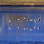 Meet Craig Derrick, Photographer Who Fell In Love With Dubrovnik 5 Craig Derrick 4