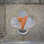 Meet Craig Derrick, Photographer Who Fell In Love With Dubrovnik 6 Craig Derrick 5