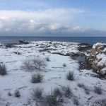 Lokrum Snow 1