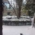 Lokrum Snow 11