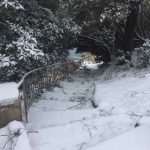 Lokrum Snow 15
