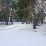 Lokrum Snow 16