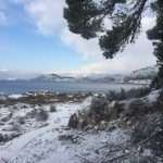 Lokrum Snow 22