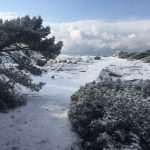 Lokrum Snow 25