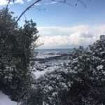 Lokrum Snow 26