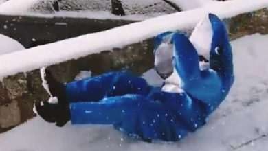 Video: Have You Ever Seen a Shark Sliding? Well, Everything is Possible in Dubrovnik 84 Shark Skiing