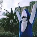 Video: Have You Ever Seen a Shark Sliding? Well, Everything is Possible in Dubrovnik 1 Sharki Skiing 2