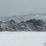 Video & Photo Gallery: Snow Surprise in Dubrovnik! 15 Snow Surprise 14