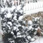 Video & Photo Gallery: Snow Surprise in Dubrovnik! 21 Snow Surprise 20