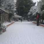 Video & Photo Gallery: Snow Surprise in Dubrovnik! 22 Snow Surprise 21