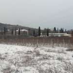 Video & Photo Gallery: Snow Surprise in Dubrovnik! 27 Snow Surprise 26