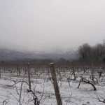 Video & Photo Gallery: Snow Surprise in Dubrovnik! 28 Snow Surprise 27