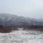 Video & Photo Gallery: Snow Surprise in Dubrovnik! 30 Snow Surprise 29