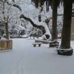 Video & Photo Gallery: Snow Surprise in Dubrovnik! 32 Snow Surprise 31