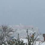 Video & Photo Gallery: Snow Surprise in Dubrovnik! 34 Snow Surprise 33