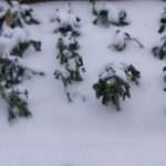 Video & Photo Gallery: Snow Surprise in Dubrovnik! 43 Snow Surprise 42