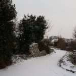 Video & Photo Gallery: Snow Surprise in Dubrovnik! 45 Snow Surprise 44