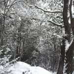 Video & Photo Gallery: Snow Surprise in Dubrovnik! 55 Snow Surprise 54