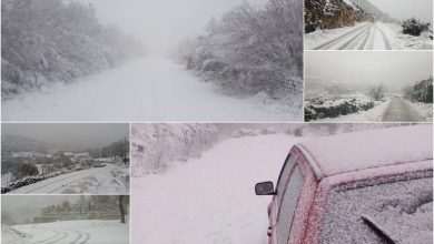 Video & Photo Gallery: Snow, Snow Everywhere! 2 Snow in Dubrovnik and Surroundings 7