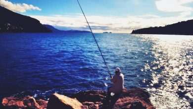 Here Comes the Sun 4 Sunny